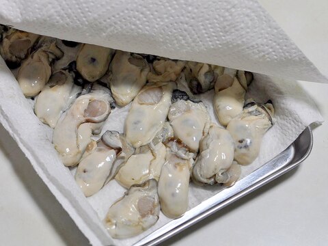 生牡蠣の洗い方(下処理方法)